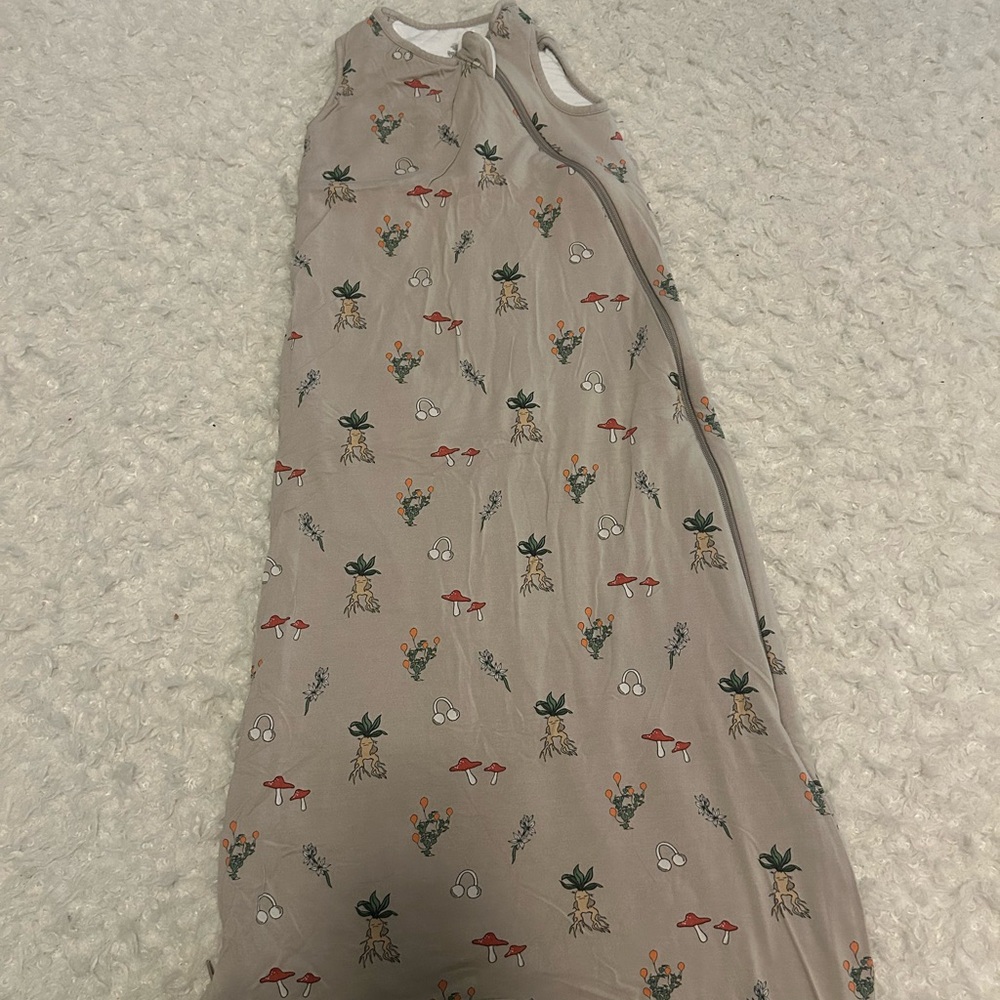 Kyte BABY Kids Pajamas Sleep Sack - Beige with Red and Green Accents